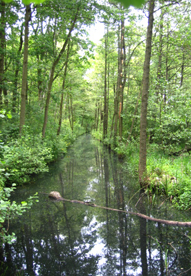 Tagesfahrt in den Hochwald