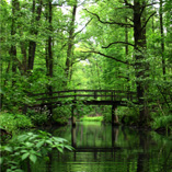 Tagesfahrt in den Hochwald