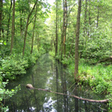 Wotschofskarundfahrt