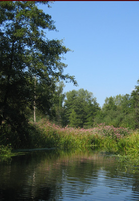 Spezielle Angebote f&uuml;r Firmen
