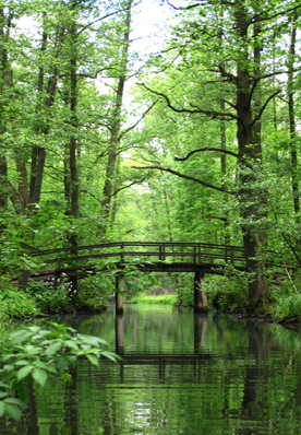 Wotschofskarundfahrt